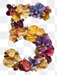 PNG Alphabet Number 5 font flower art petal.