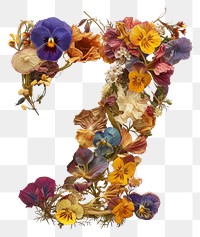 PNG Alphabet Number 7 font flower art plant.
