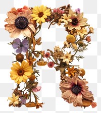 PNG Alphabet R font flower wreath plant.