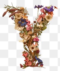 PNG Alphabet Y font flower art plant.