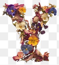 PNG Alphabet Y font flower art petal.
