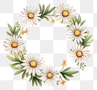 PNG Daisy border watercolor pattern flower wreath.