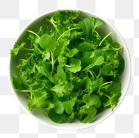 PNG Salad bowl food ingredient coriander.
