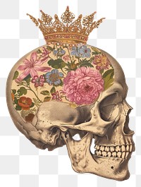 PNG Paper collage of skull painting art representation