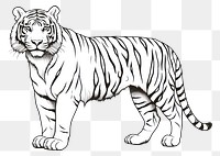 PNG Tiger outline sketch wildlife drawing animal.