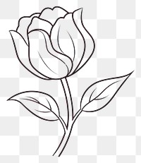PNG Tulip outline sketch drawing flower white.