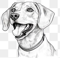 PNG Beagle sketch drawing animal.