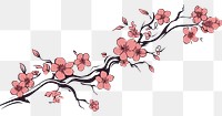 PNG Cherry blossom outline sketch flower plant white background.