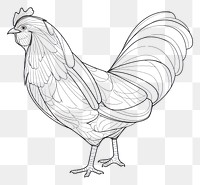 PNG Chicken outline sketch poultry animal bird.