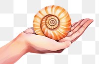 PNG Hand holding saturn white background invertebrate seashell.