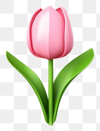 PNG Pink tulip flower plant pink.