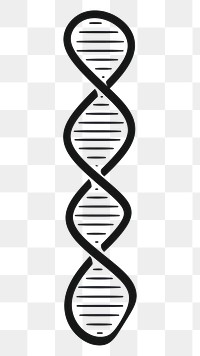 PNG DNA strand icon line white background research.