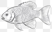 PNG Fish sketch fish drawing.