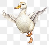 PNG Happy smiling Duck dance duck animal goose