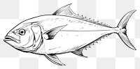 PNG Tuna sketch drawing animal.