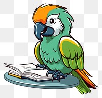 PNG Parrot reading book cartoon drawing animal.