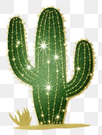 PNG Cactus icon plant white background chandelier.