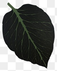 PNG Leaf bold shape plant black 