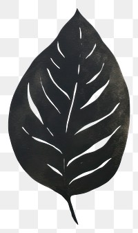 PNG Leaf plant black white background.