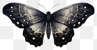 PNG Black color moth butterfly animal insect.