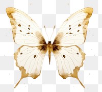 PNG White color butterfly animal insect invertebrate.