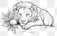 PNG Lion sleeping sketch drawing white.