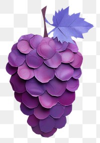 PNG Grape grapes plant fruit.