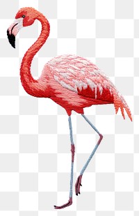 PNG Little flamingo animal bird creativity.