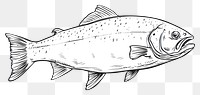 PNG Salmon animal sketch trout.