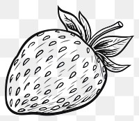 PNG Strawberry sketch fruit plant.