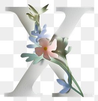 PNG Flower plant blossom symbol.