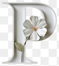PNG Flower plant text fragility.