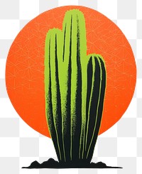 PNG Cactus plant art red.