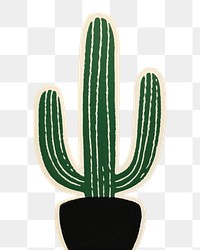PNG Cactus plant art red.