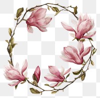 PNG  Magnolia cercle border blossom flower petal.