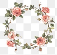 PNG Rose cercle border pattern flower wreath.
