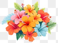PNG Tropical hawaii flower hibiscus plant white background.
