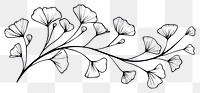 PNG Divider doodle of ginkgo pattern drawing sketch