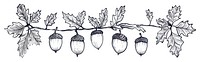 PNG Divider doodle of acorns plant chandelier vegetable.