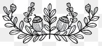PNG Divider doodle of acorns plant line calligraphy.