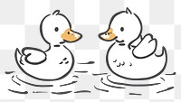 PNG Divider doodle of duck animal bird anseriformes.