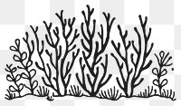 PNG Divider doodle of coral pattern drawing sketch.