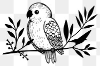 PNG Divider doodle of parrot drawing animal sketch.