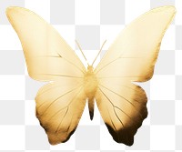 PNG Butterfly gold animal insect moth.