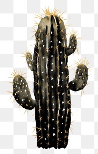 PNG Black color cactus plant white background reptile.