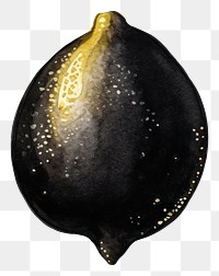 Black color lemon fruit plant pear.