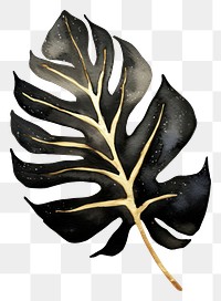 PNG Black color monstera leaf plant white background accessories.