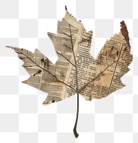 PNG Ephemera paper autumn leaf art plant tree
