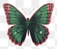 PNG  Butterfly with flower animal insect green