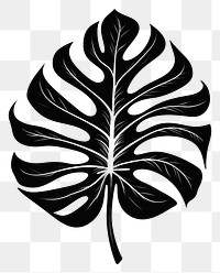 PNG A black monstera leaf old school hand poke tattoo style plant line logo.